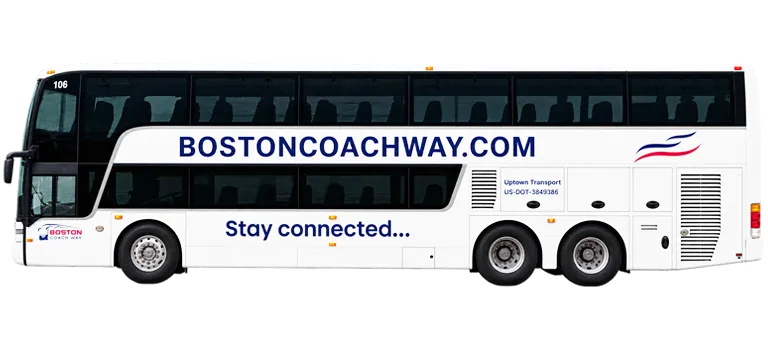 Double Decker coach 81