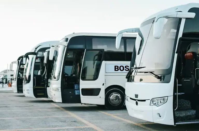Boston Coach Way's Fleet